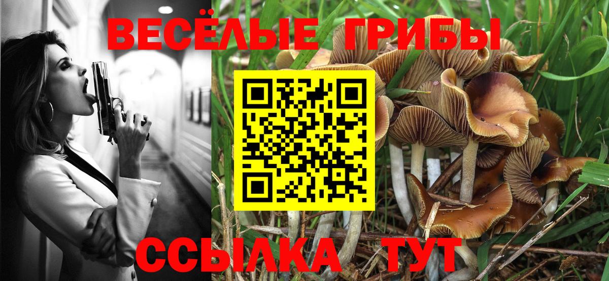 Псилоцибиновые грибы прущие грибы  Вход с VPN  Моздок 