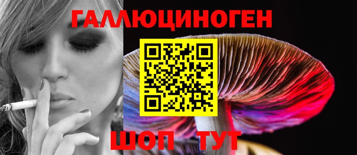 Галлюциногенные грибы мухоморы Моздок